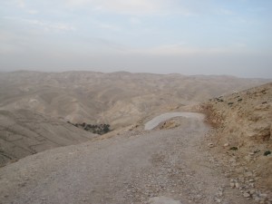 The Judean Wilderness, February, 2010