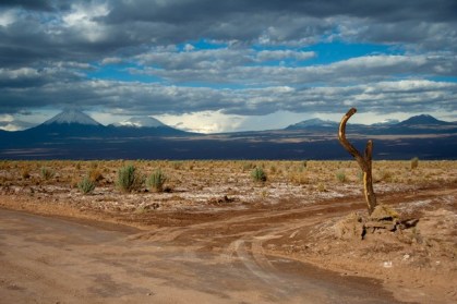 Fork in the desert road